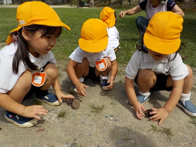 体育館で運動遊びをしたよ☆ 年少:画像4