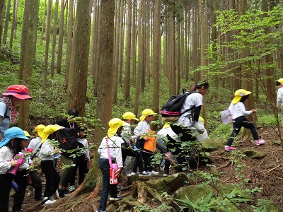 お泊まり保育☆:画像3