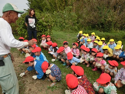 さつまいも掘りに行ってきました☆