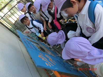 鞍ヶ池公園に行ったよ！（年中）:画像３