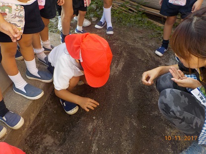 野菜の種をうえたよ♪（年中）