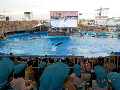 名古屋港水族館に行きました！（年長）:画像６