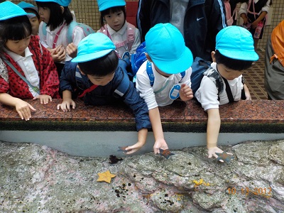 名古屋港水族館に行きました！（年長）:画像３