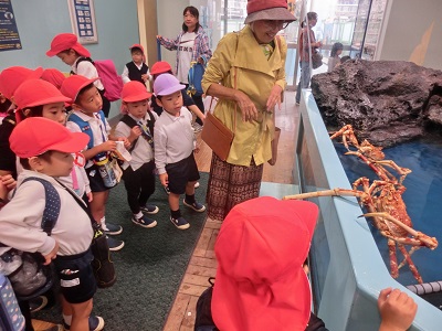 竹島水族館へ行ったよ☆(年中):画像2