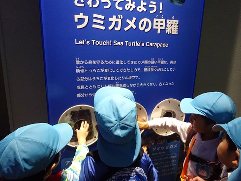 秋の遠足☆(年長):画像4