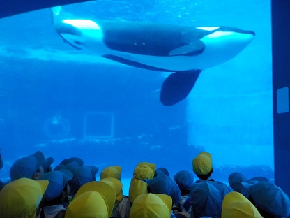 秋の遠足☆（年長）