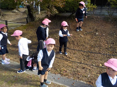 岡崎公園に秋を探しに出かけたよ☆（年少）