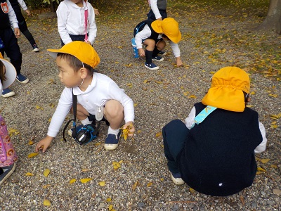 岡崎公園に秋を探しに出かけたよ☆（年少）:画像４