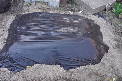 オクラを食べたよ★年長