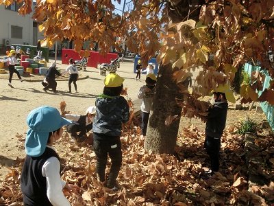 御旗公園に行ったよ☆(年長):画像5