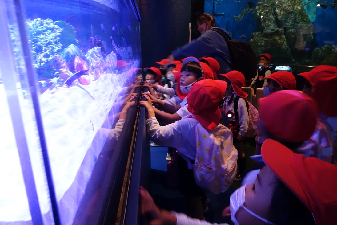 碧南海浜水族館に行ったよ★(年中）:画像２