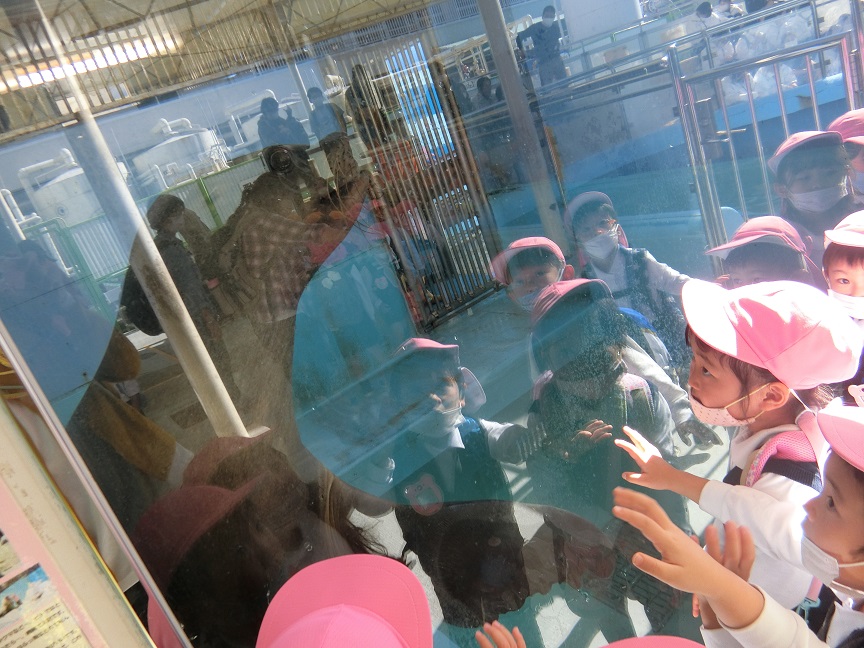 竹島水族館に行ったよ♪（年少）:画像４