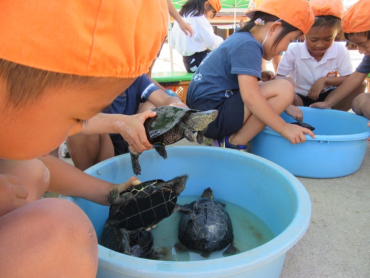 いちご動物園②～ふれあい♡ポニー乗馬～:画像５