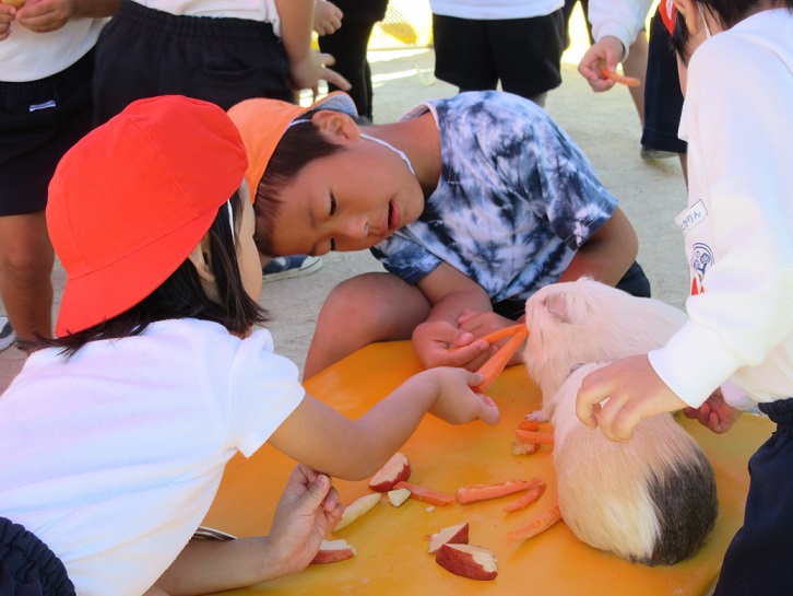 いちご動物園③~えさやりなどなど♥～:画像２