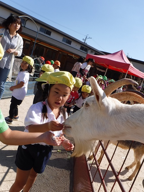 いちご動物園③~えさやりなどなど♥～:画像３