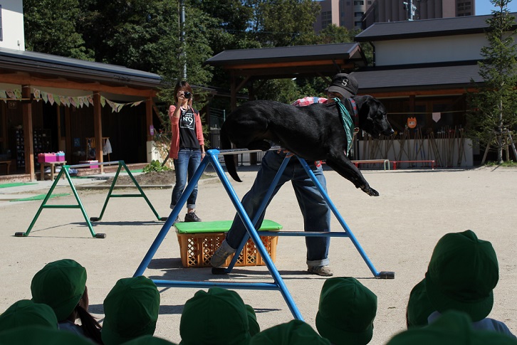 いちご動物園③~えさやりなどなど♥～:画像４