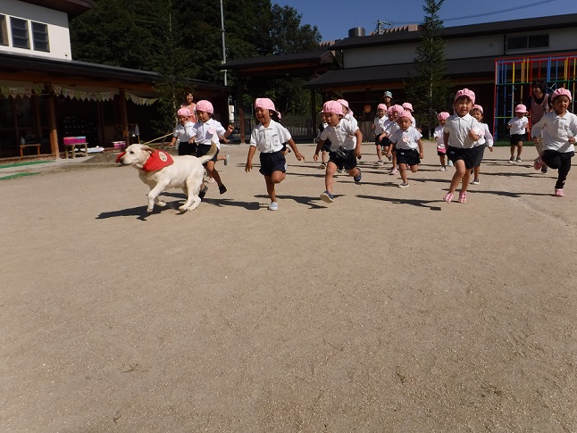 いちご動物園③~えさやりなどなど♥～