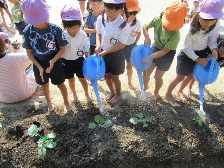 冬野菜を育てよう!!(10/19):画像2