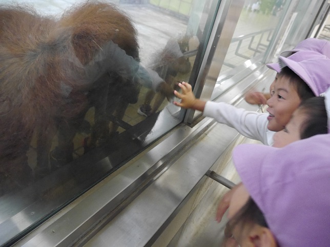 秋の遠足♡浜松動物園　年長♥（10/20）:画像４