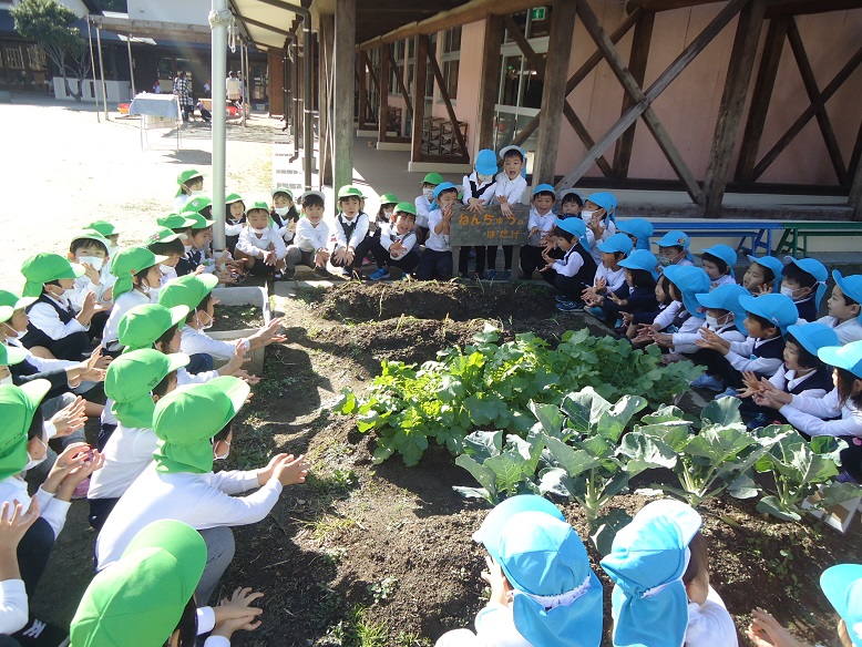 ☆玉ねぎを植えたよ☆年中