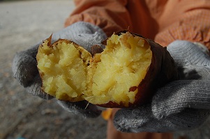 ★やきいもパーティーをしたよ★