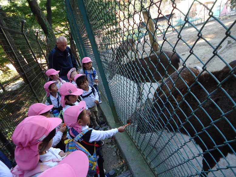 ☆東公園に行ってきたよ！☆年少②:画像２