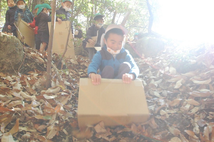 ★年中★　冬野菜の収穫第１弾！