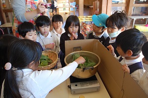 ★年中★　冬野菜の収穫第１弾！:画像４