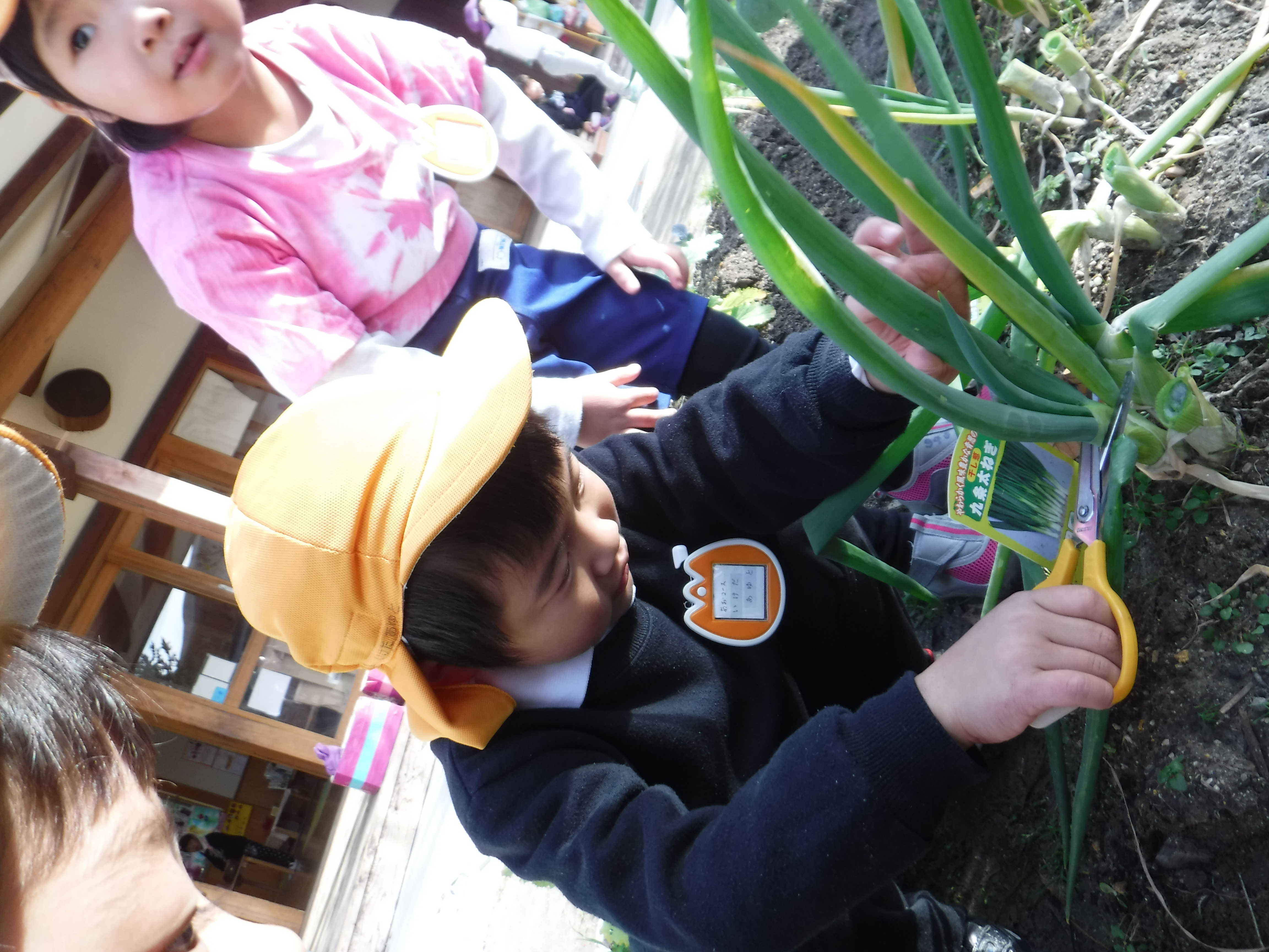 おいしいお味噌汁、あったまる～(*´∀｀*)年長