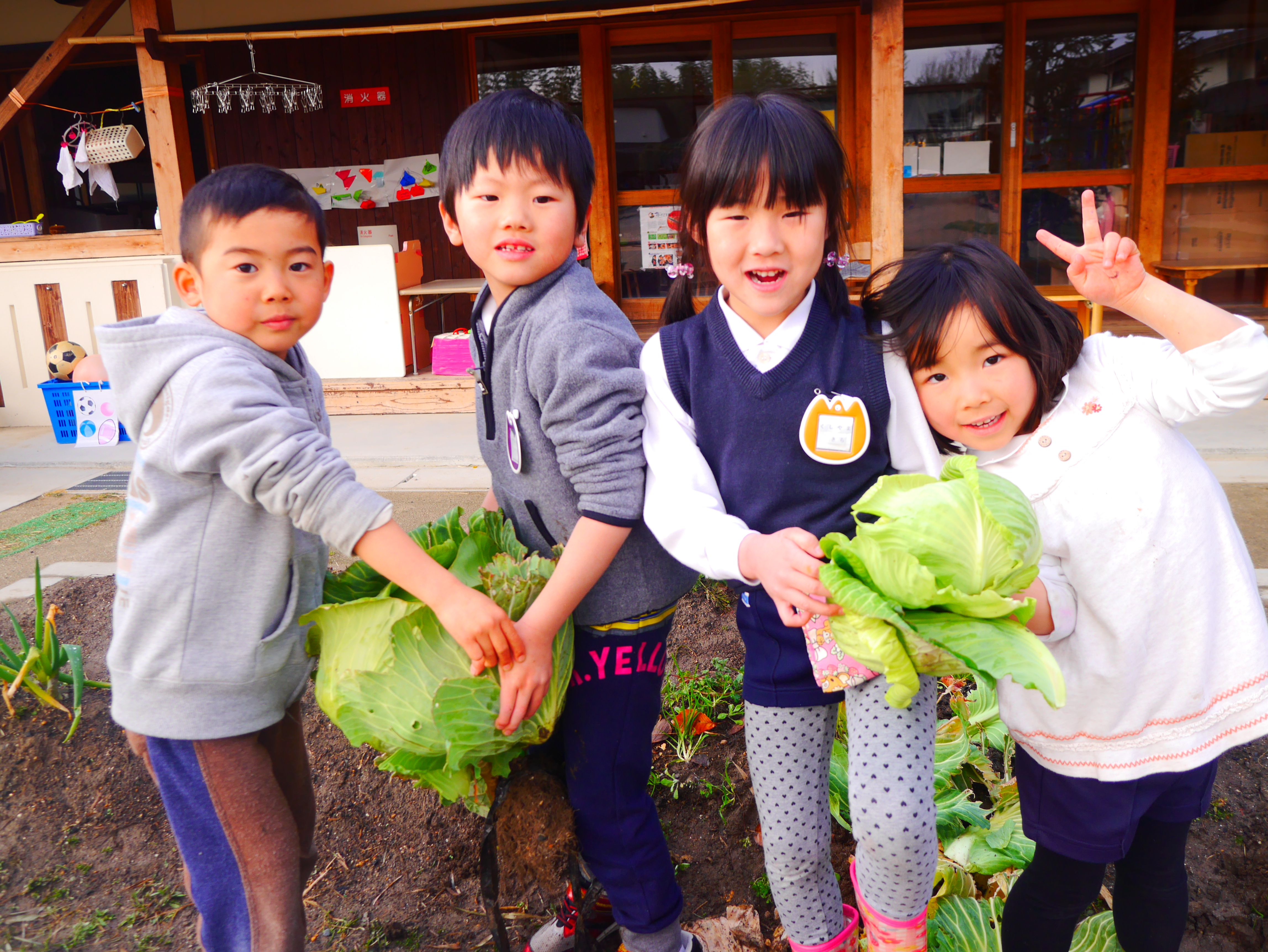 お好み焼きクッキングをしたよ★年長