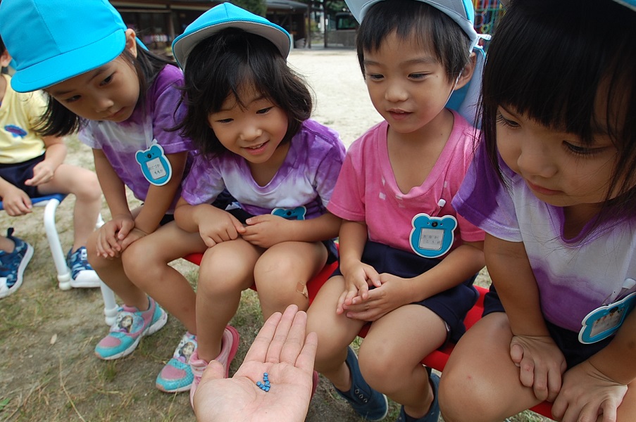 ☆年中☆　冬野菜を植えました