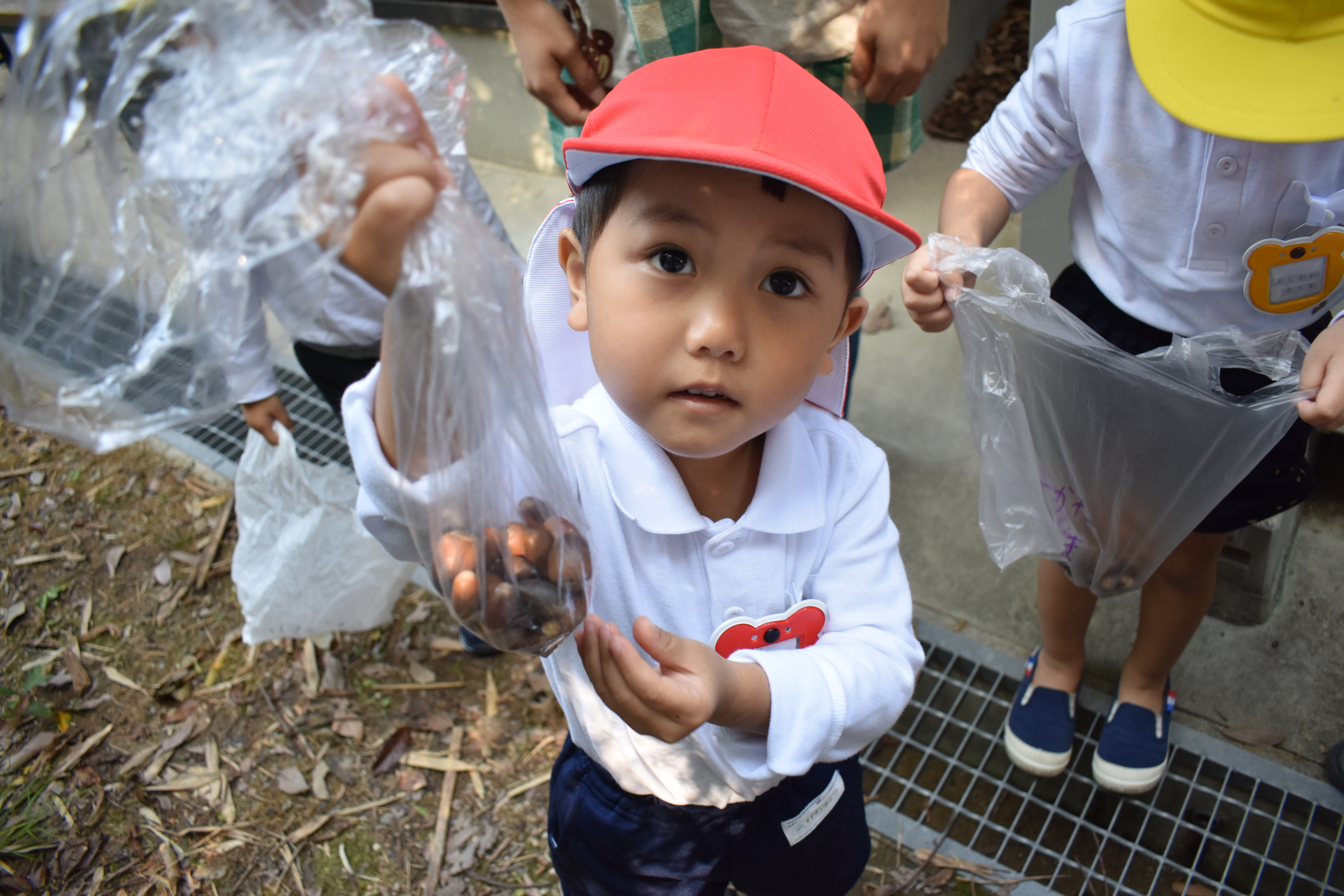 ★さわらびっこ祭り!(食品メニュー紹介②):画像３