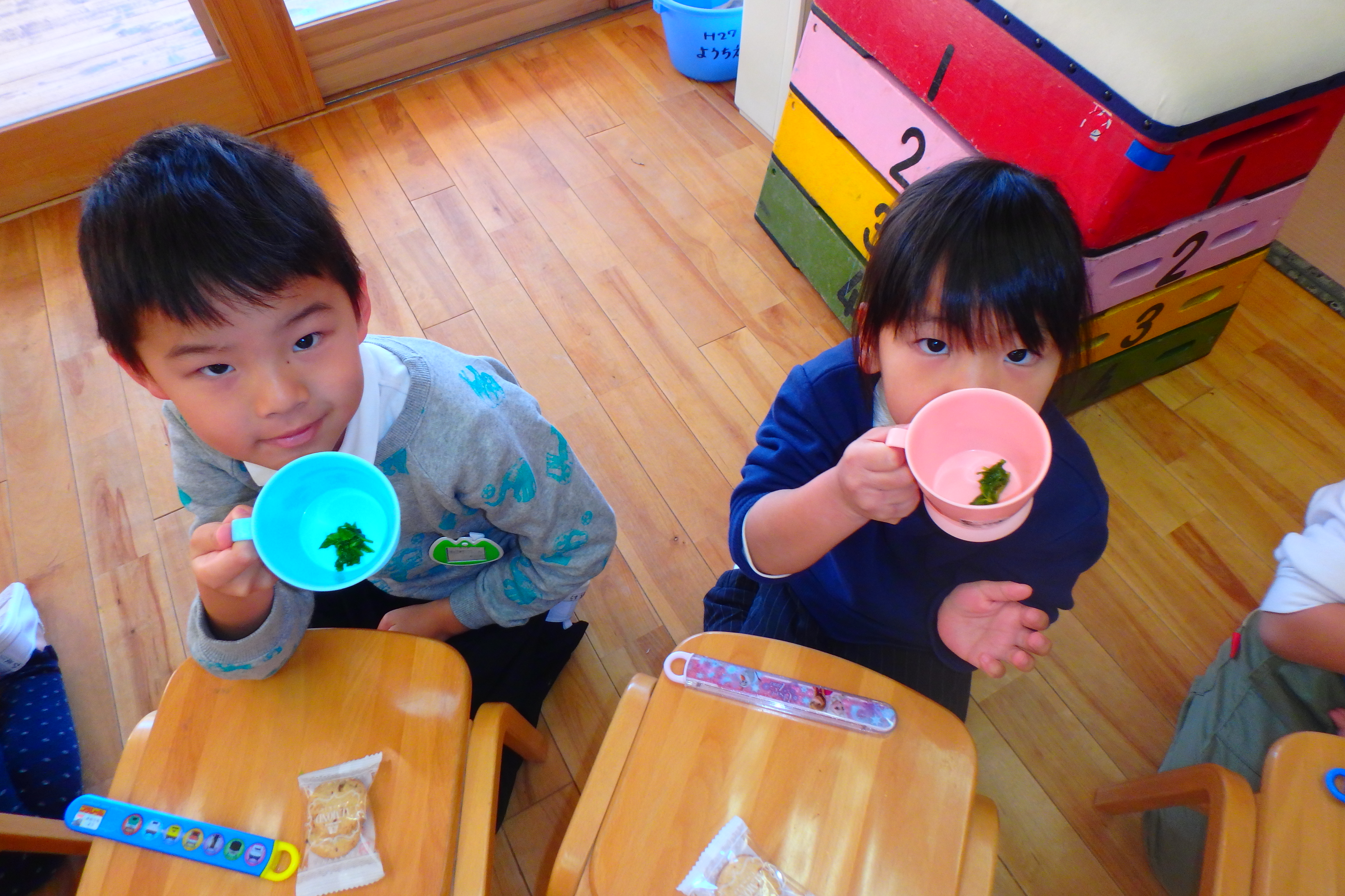 カブと大根の葉を食べたよ☆年中