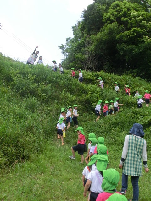 ☆散歩に行ったよ☆年中