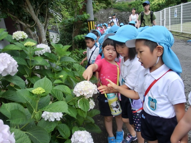 ☆散歩に行ったよ☆年中
