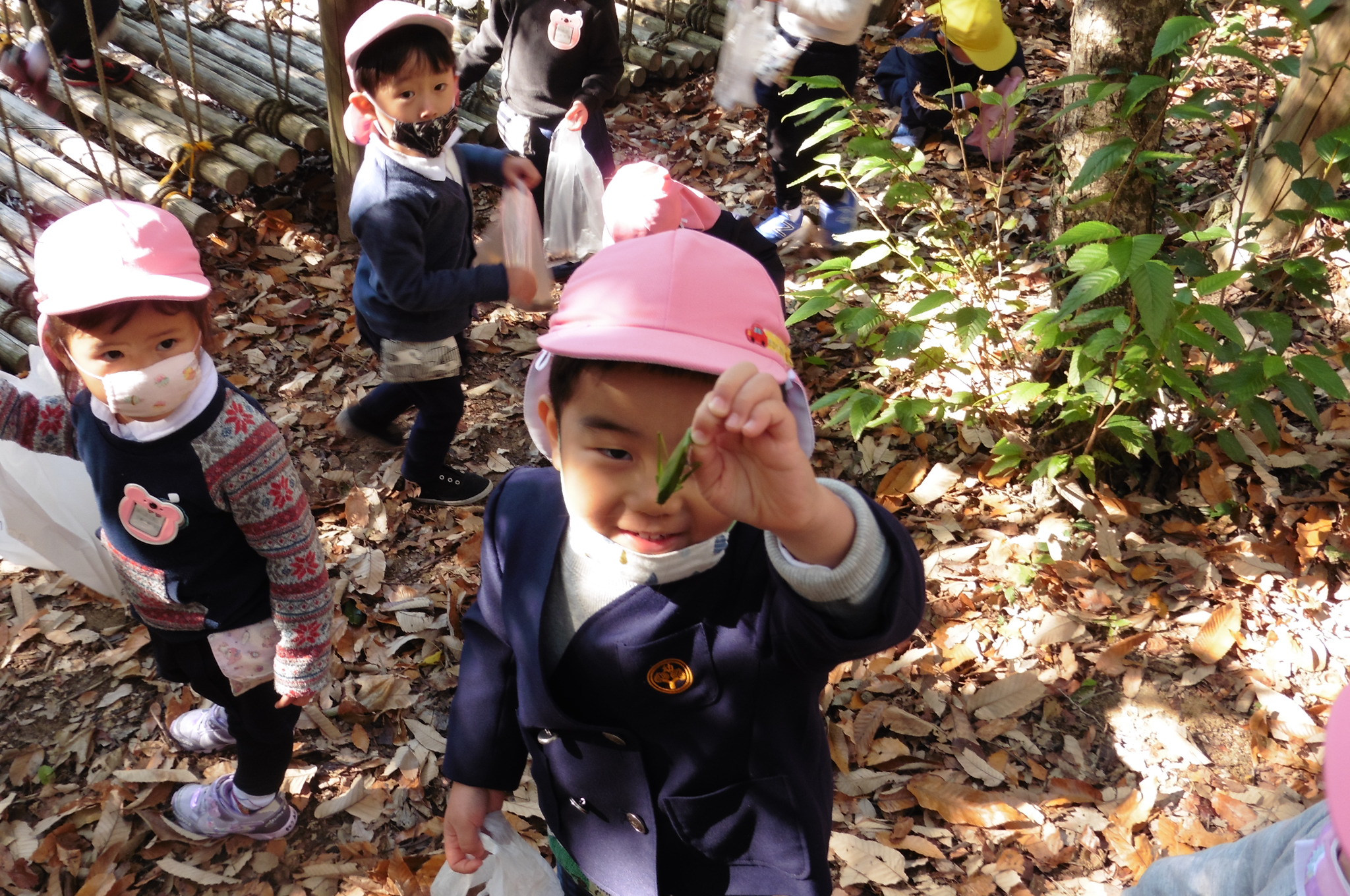 ★年少★アスレチックの森に出かけて遊びました♪:画像３