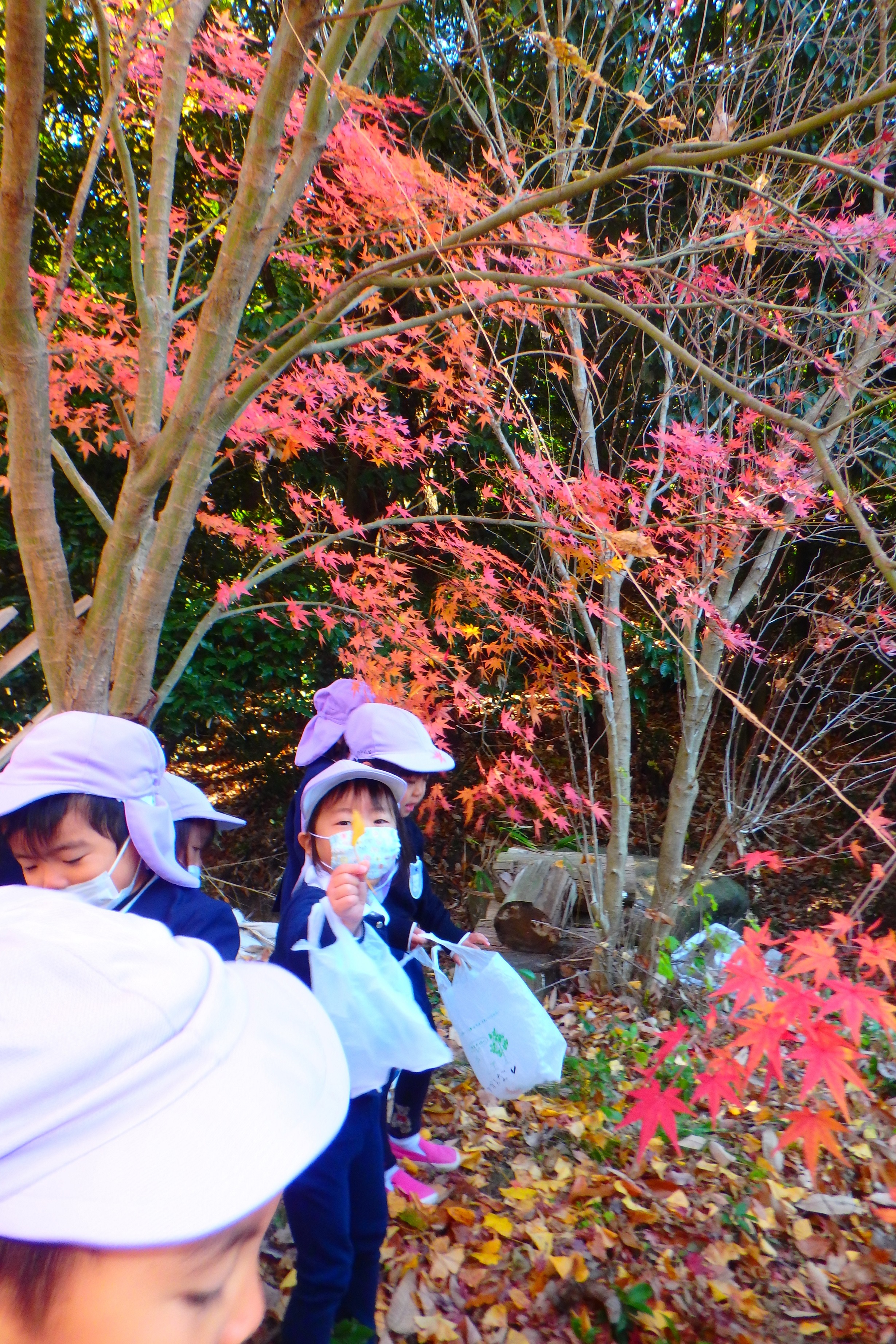 ★年少★アスレチックの森に出かけて遊びました♪