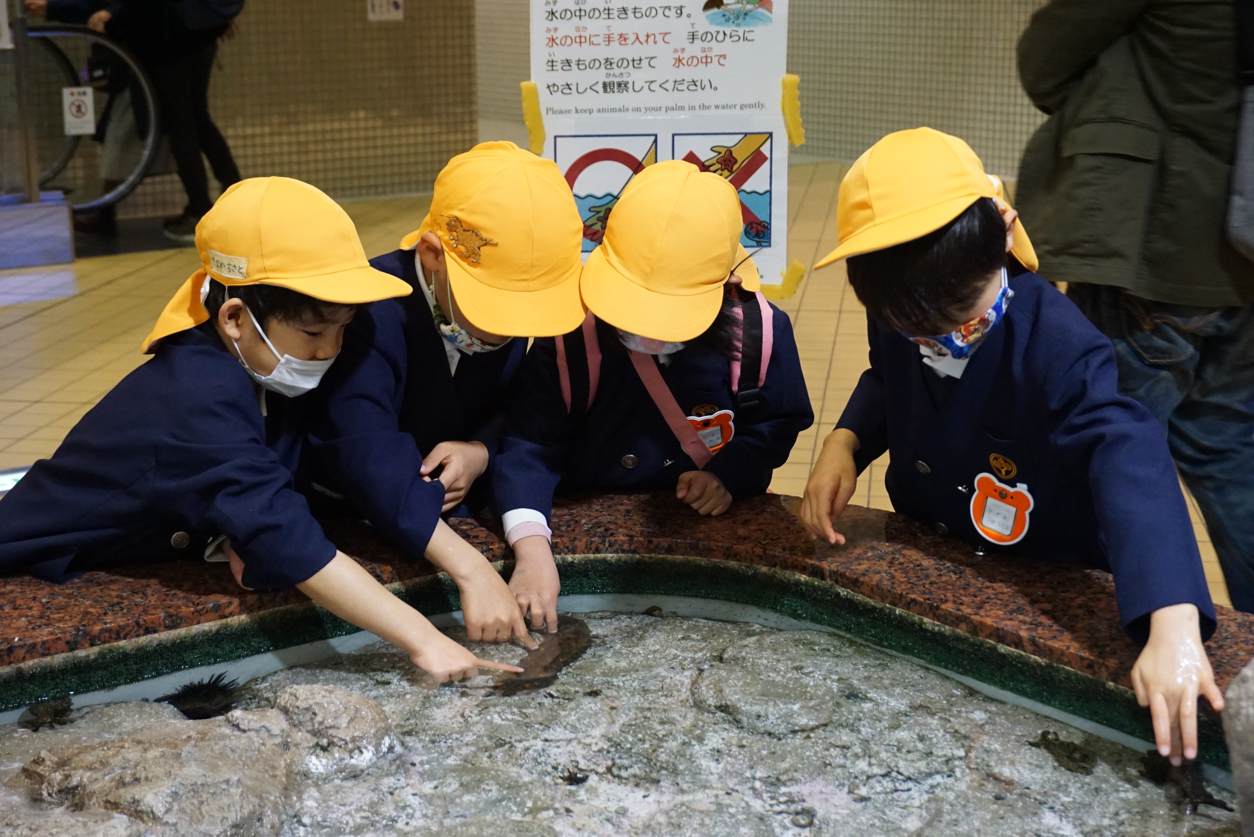 ★年長★お別れ遠足に出かけたよ！:画像３