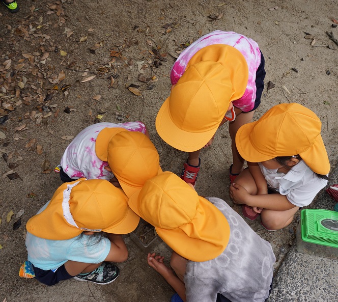 ★園舎裏で遊んだよ★年長:画像6