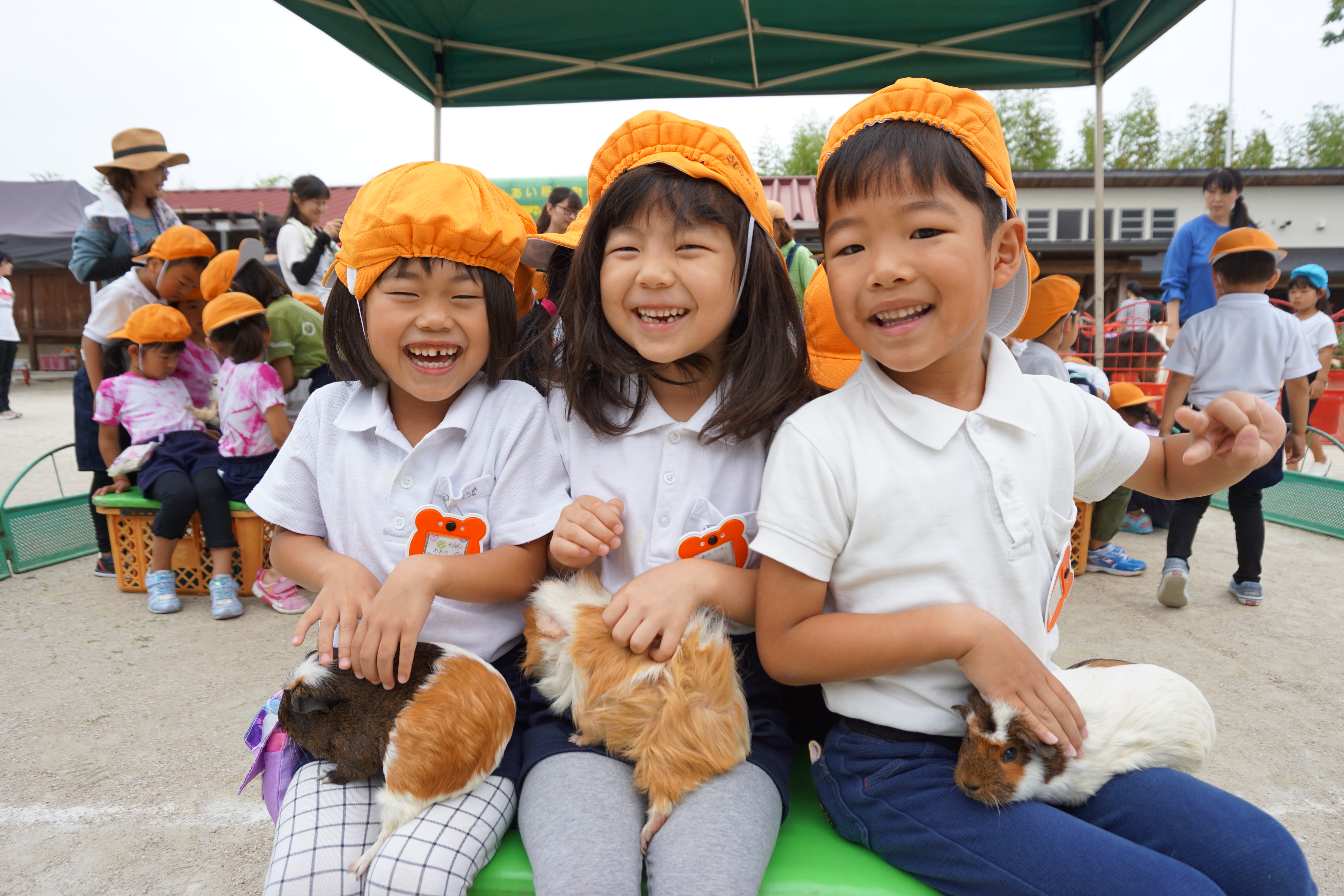 いちご動物園:画像2