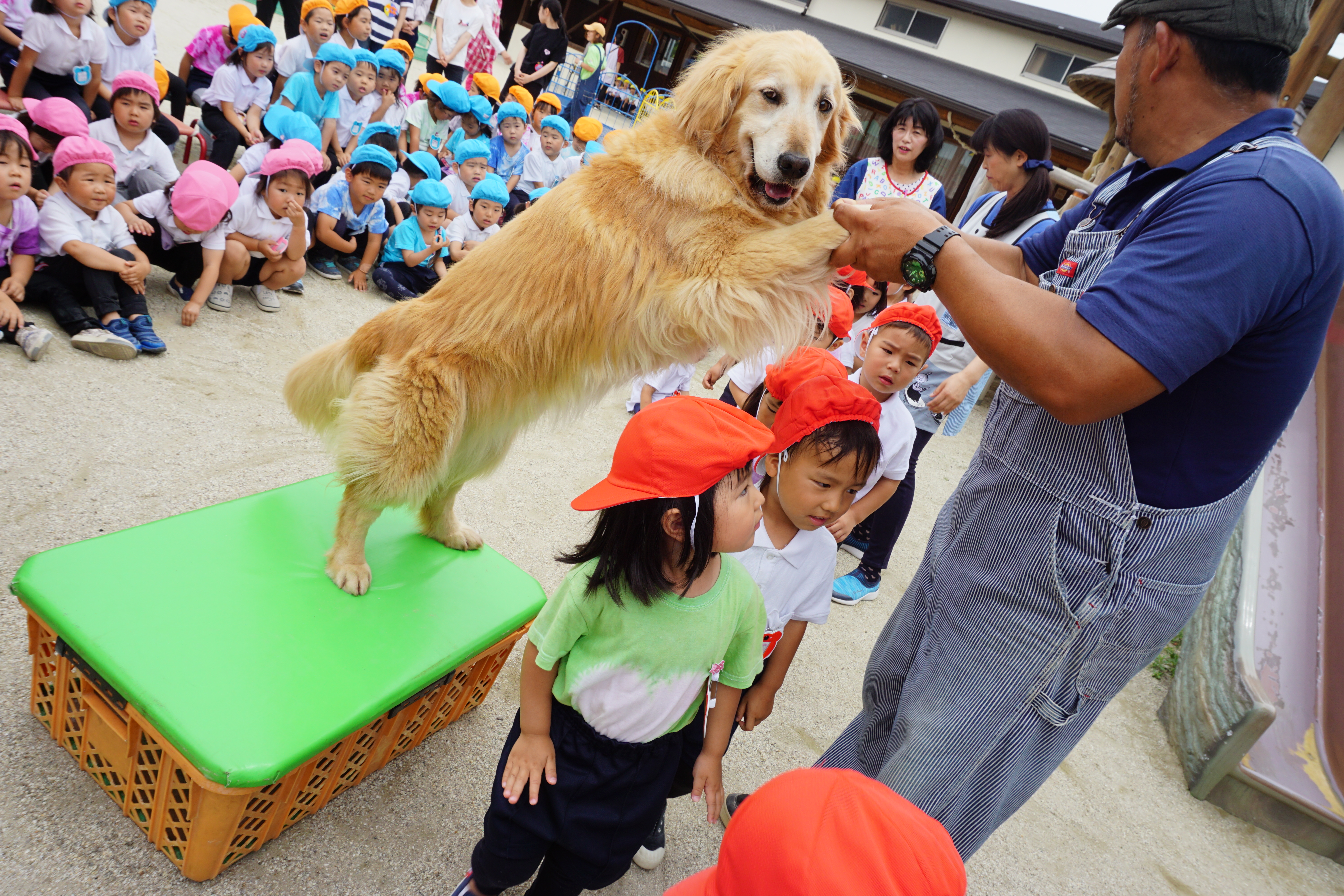 いちご動物園:画像3