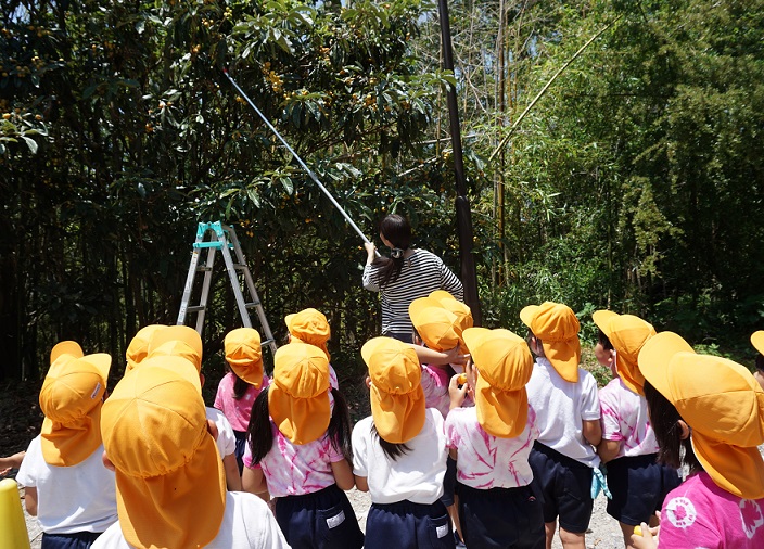 ★びわを食べたよ★ほしぐみ:画像2