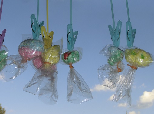 運動会について！