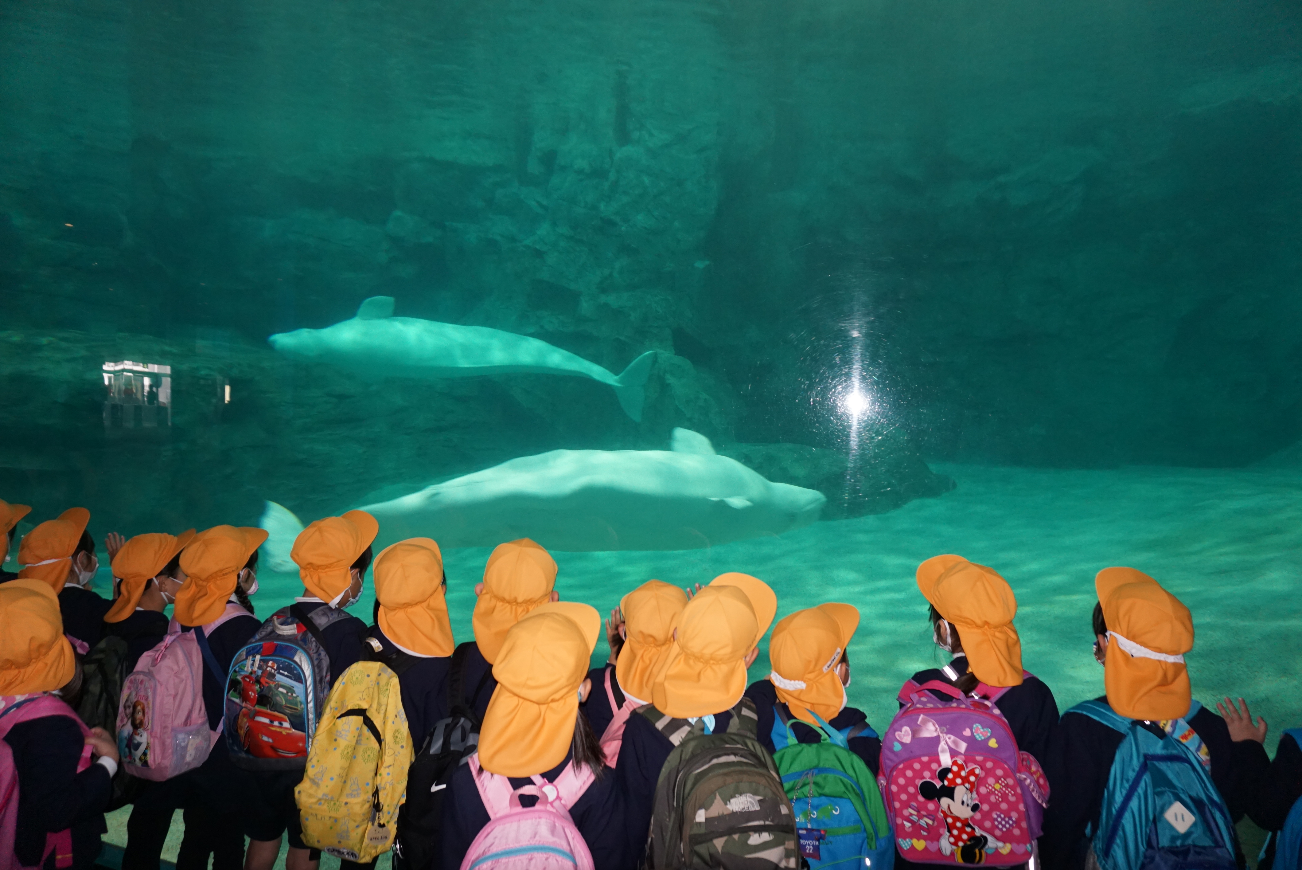 ★年長★お別れ遠足に出かけたよ！:画像１