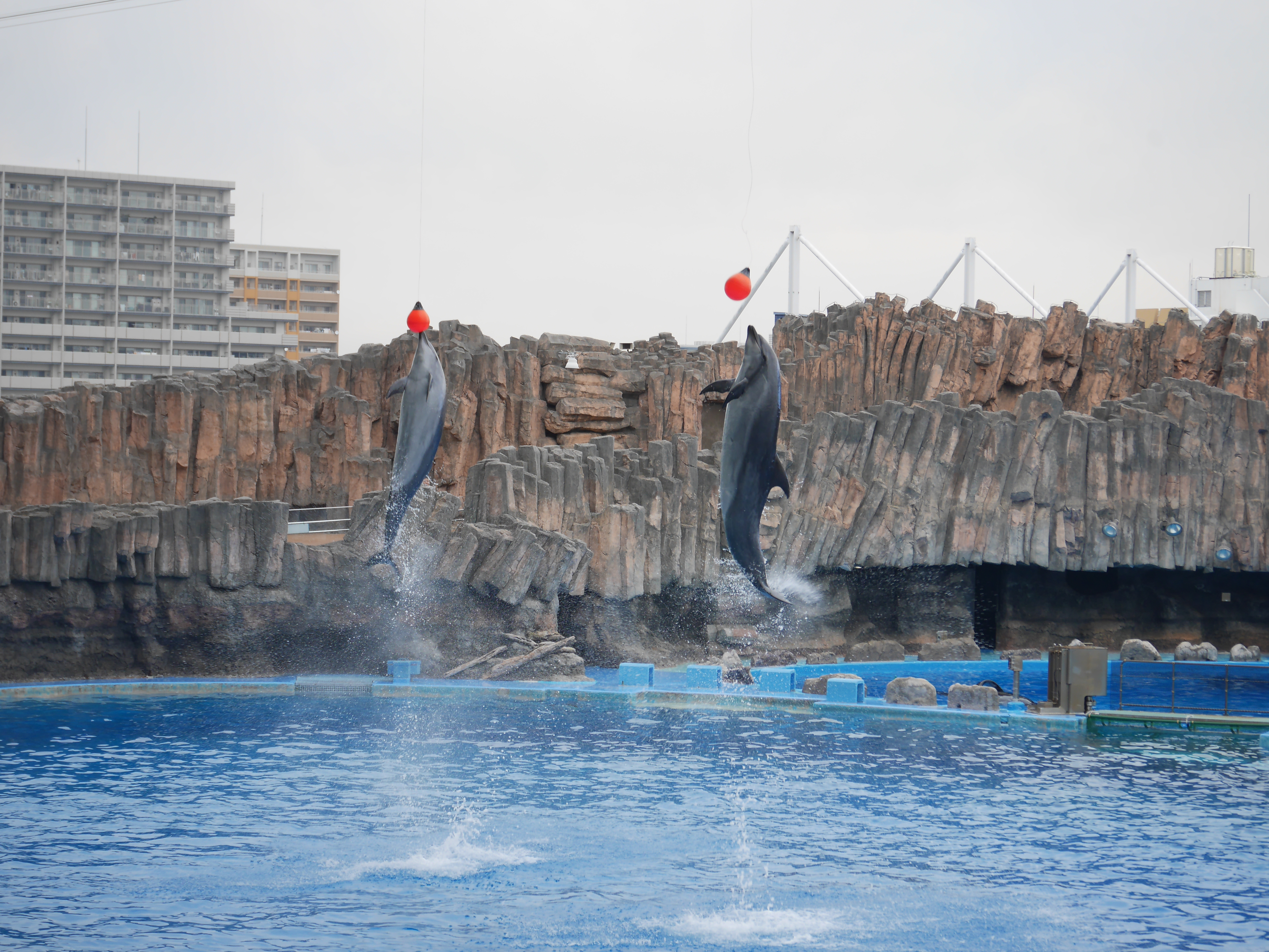 ★年長★お別れ遠足に出かけたよ！