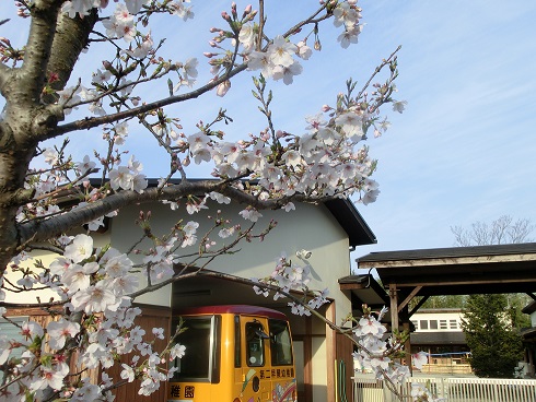 入園式について:画像１