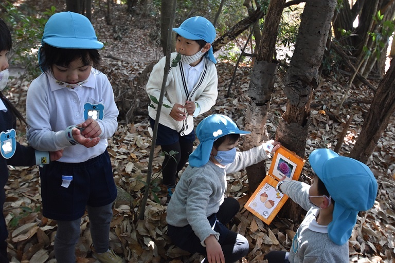 ☆そらぐみ☆　収穫したトマトを食べました！:画像１