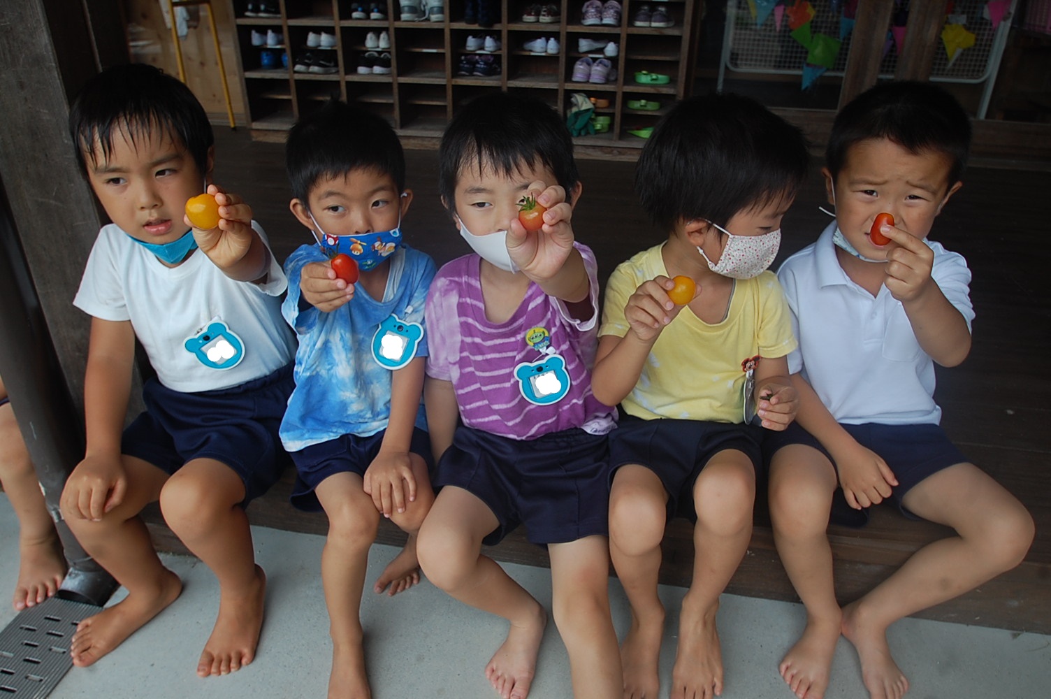 ☆そらぐみ☆　収穫したトマトを食べました！:画像２