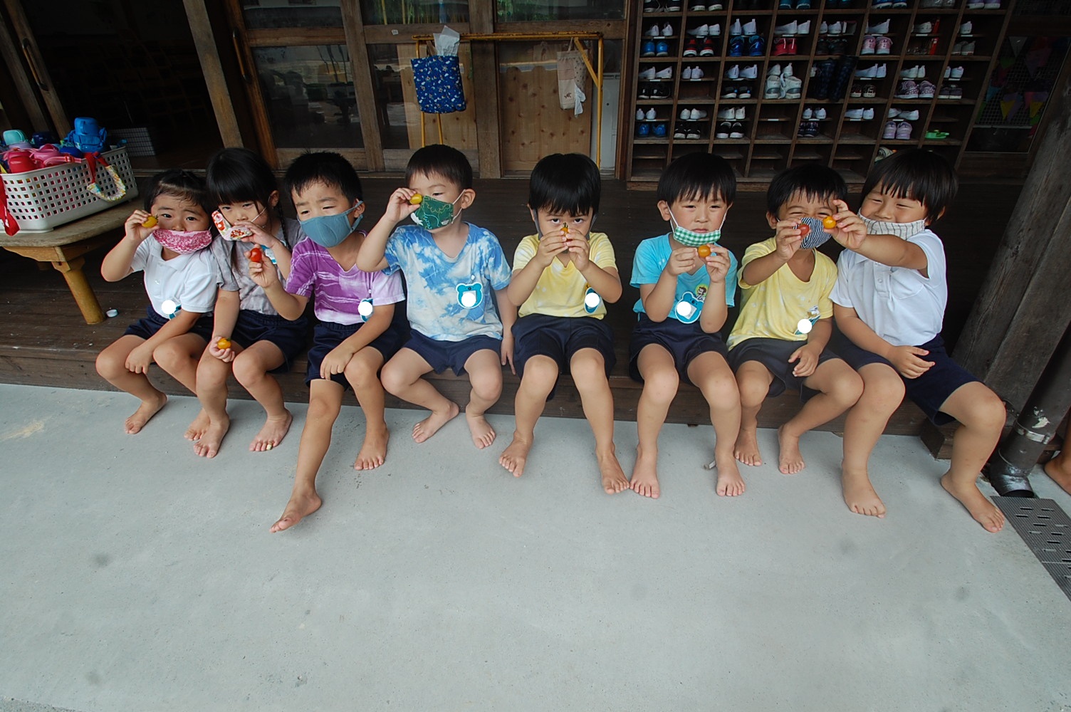 ☆そらぐみ☆　収穫したトマトを食べました！:画像４