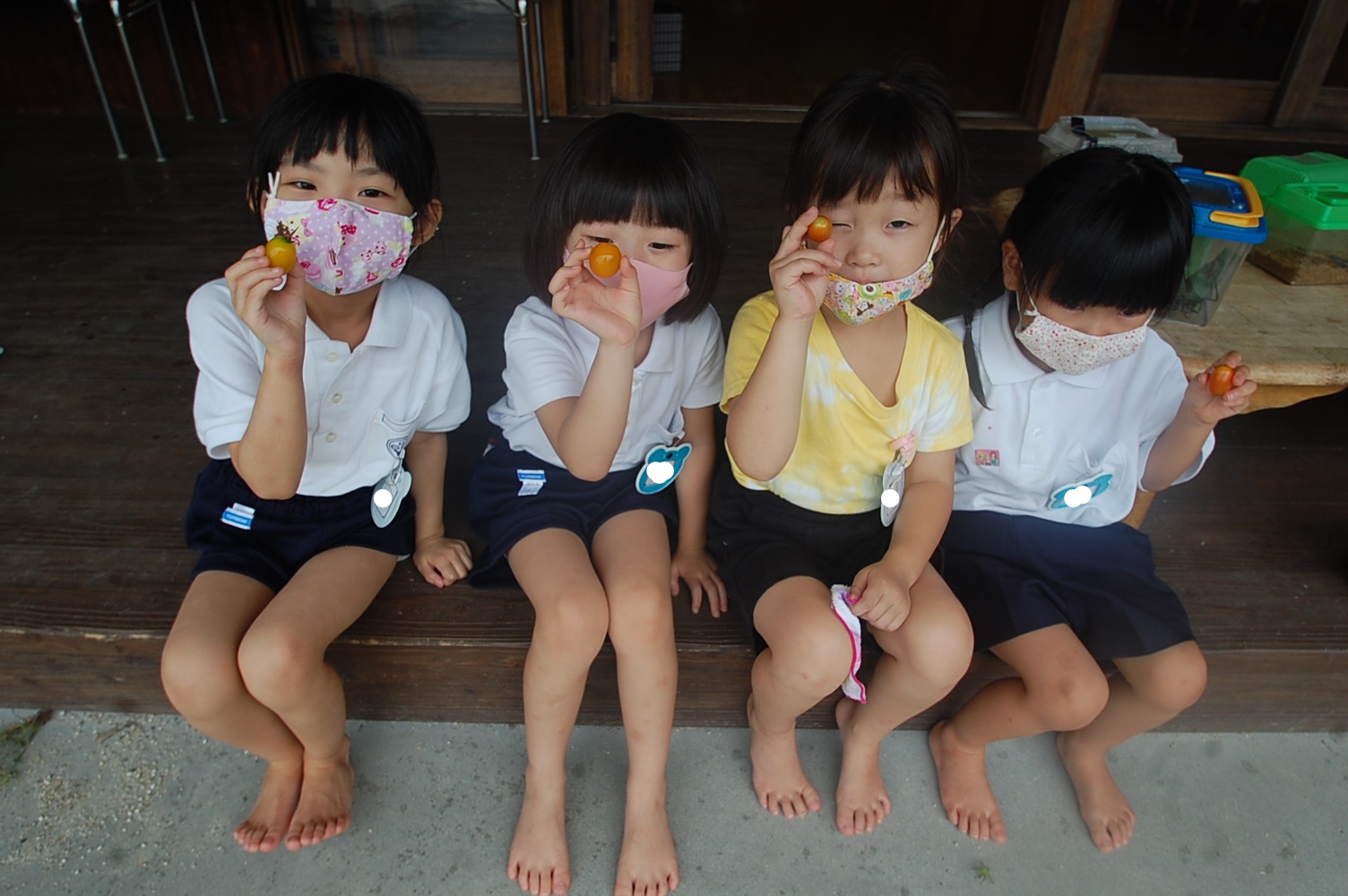 ☆そらぐみ☆　収穫したトマトを食べました！:画像３